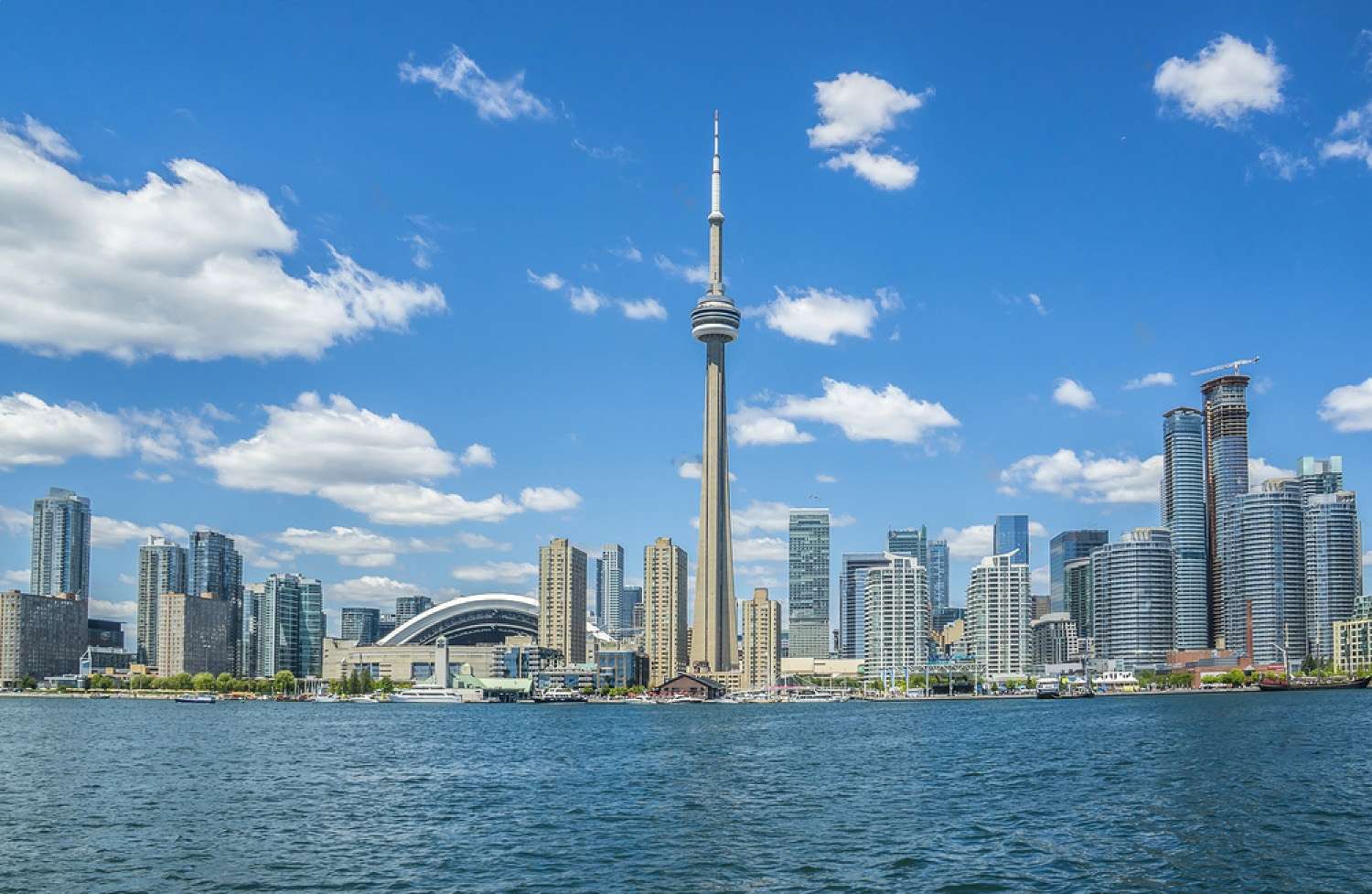 Toronto SEO